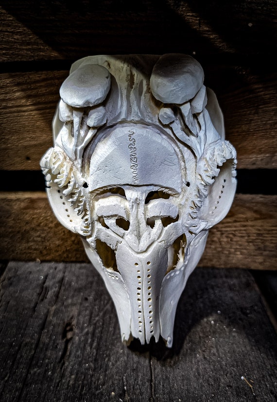 Amazon.com : GpahrrDnij Skull Planter Succulent Pots
