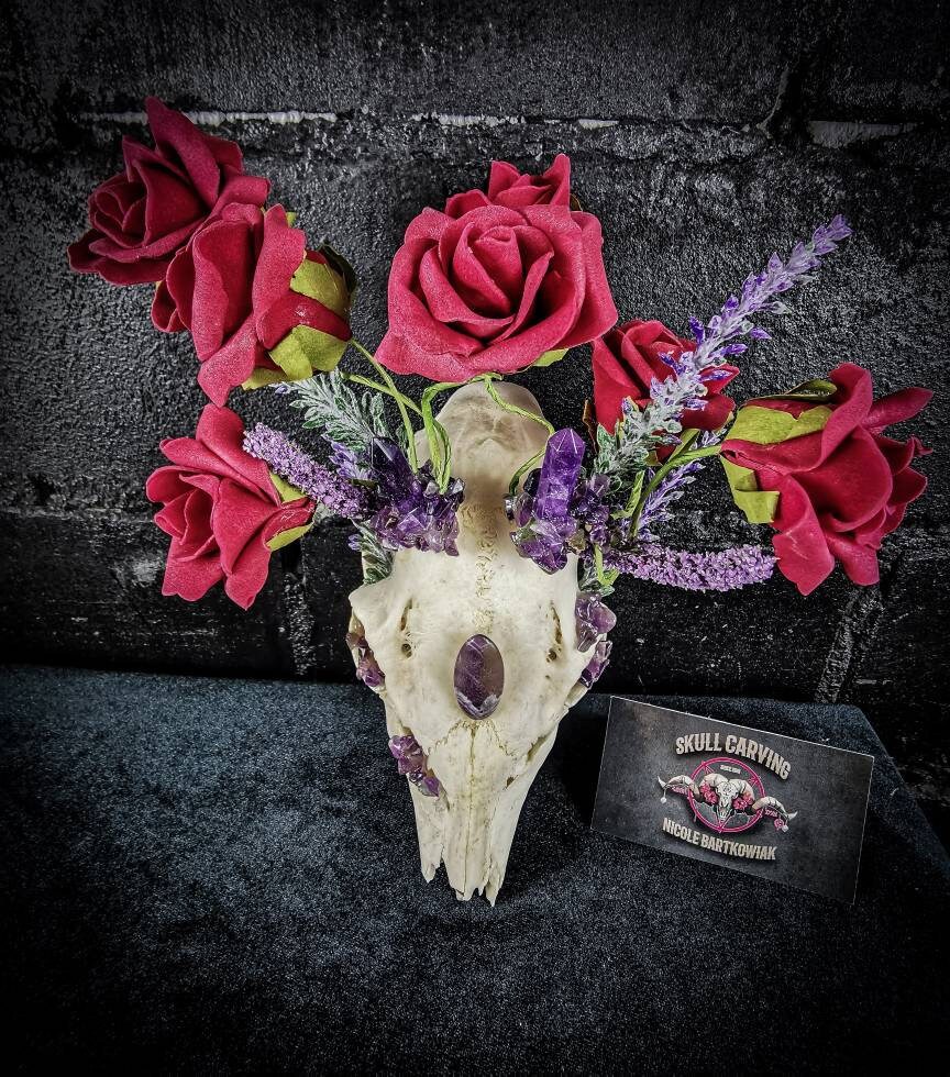 Real Roe Deer Skull Lamp: Amethyst, Roses & Lavender - Etsy Israel