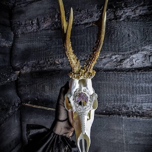 Real roe deer skull with engraved ornaments design and tree of life made of amethyst stones- made to order! Heart, square, circle.  lamp