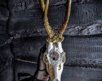 Engraved Roe Deer Skull with Amethyst Tree of Life - Made to Order