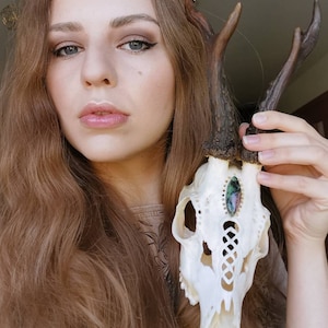 Made to order Real Roe deer skull with engraved ornaments carving gift girlfriend filigree buck unique crystal stone carnelian cornelian