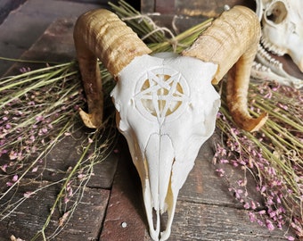 彫刻されたヤギの頭蓋骨：五芒星の彫刻、ゴシック様式の装飾 - Etsy 日本