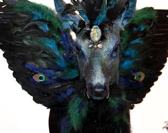 Made to order Beautiful Turquoise Roe Deer taxidermy winged stag labradorite stones fangs feathers peacock blue green real art gift peryton