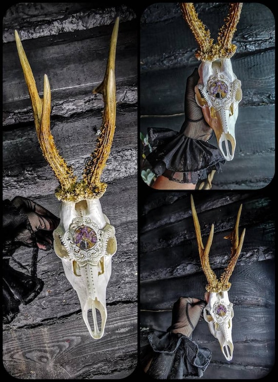 彫刻されたノロジカの頭蓋骨：アメジストの生命の樹をあしらった