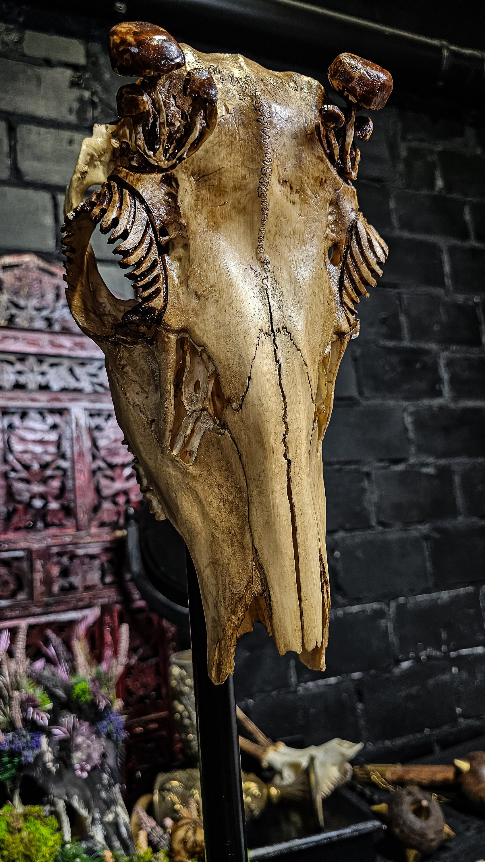 Real Skull Mushrooms European Stag Deer Wall Flower Pot