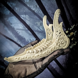 Roe deer jaw engraved sculpture real bone animal ornaments filigree floral