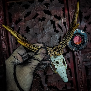 Made to order REAL authentic jackalope skull with engraved design and beautiful labradorite stones deer antlers rabbit bunny hare in frame