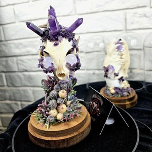 Amethyst Crystal Real Skull in Glass Dome: Handmade Oddities Decor