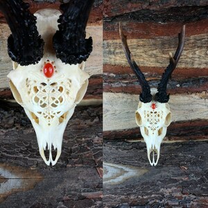 Made to order Real Roe deer skull with engraved ornaments carving gift girlfriend filigree buck unique crystal stone carnelian cornelian