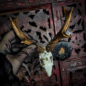 Made to order REAL authentic jackalope skull with engraved design and beautiful labradorite stones deer antlers rabbit bunny hare in frame