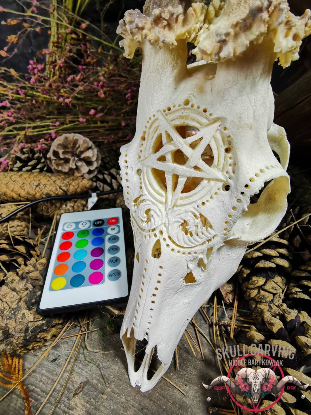 Engraved Roe Deer Skull: Pentacle Satanic Carving Art - Etsy