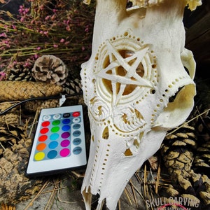 Cráneo de corzo grabado a pedido, enorme e impresionante pentáculo 666, tallado de satanás malvado, regalo para novio, novia, madre, padre, ciervo ligero