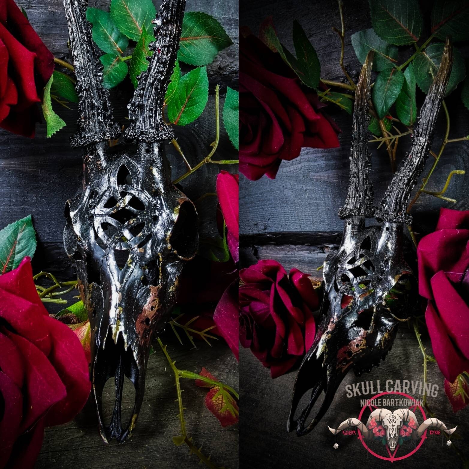 Engraved Roe Deer Skull: Celtic Knot, Painted Gold & Black - Etsy