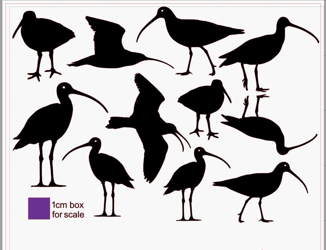 Curlew Black Waterslide Decals - Etsy