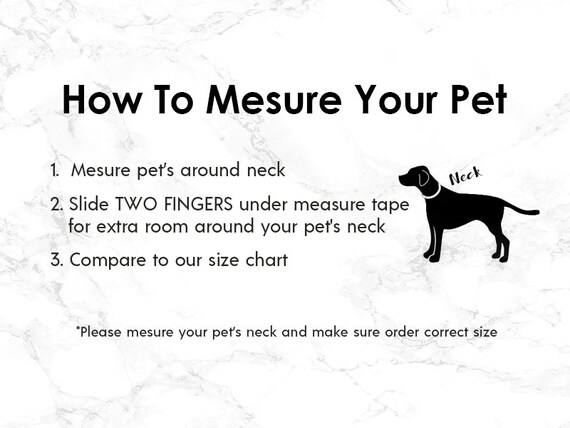 Two Star Dog Size Chart