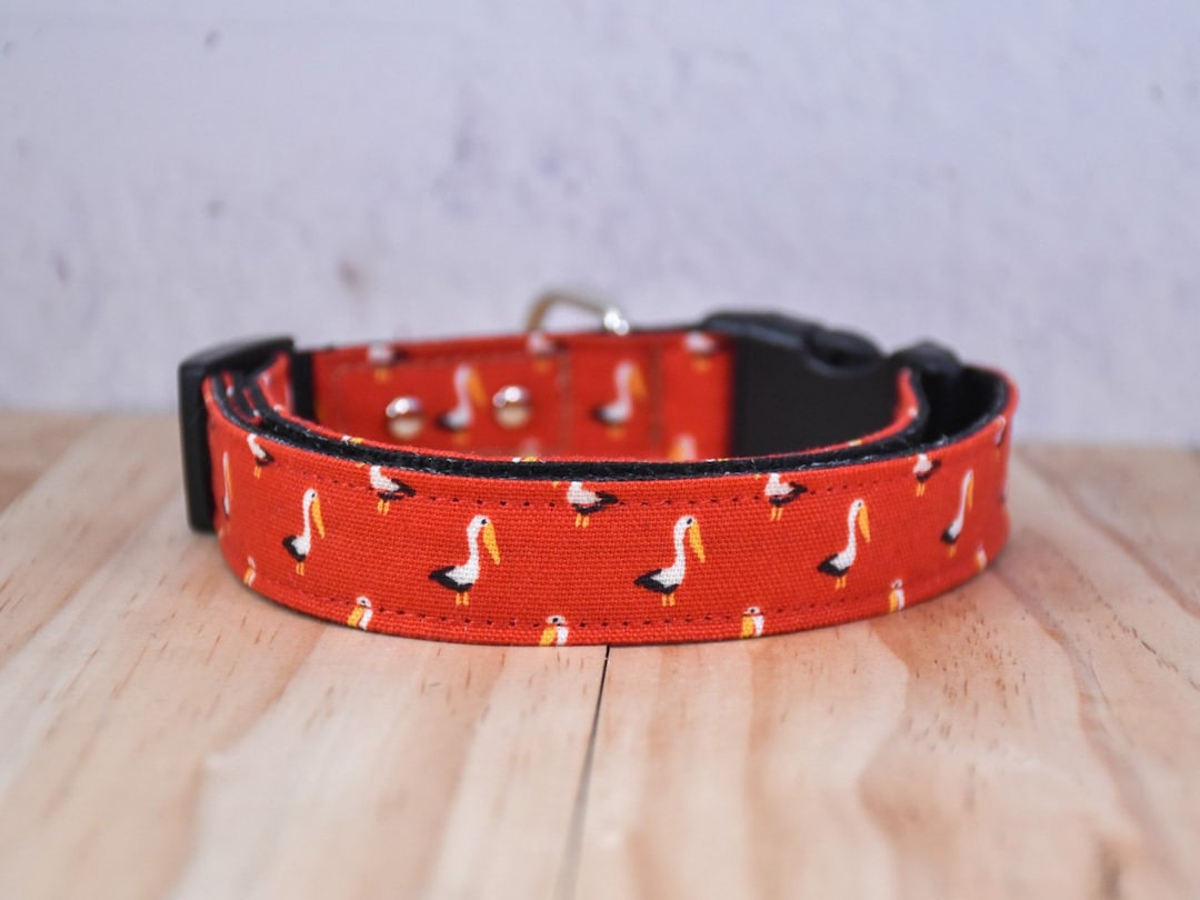 Pelican Pet Collar & Bird Dog Collar Nautical Dog Collar Cute Pet