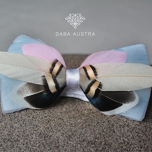 Nœud papillon plume bleu glacial, cravate plume bleue GLASS SLIPPER, nœud plume rose thé, mariage nœud papillon rose pâle, nœud papillon bleu pastel, cravate garçons d'honneur