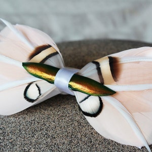 Pheasant Feather Bowtie: Pale Pink Wedding Bow Tie
