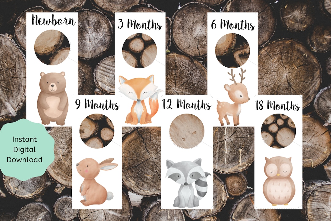 Woodland Nursery Closet Dividers Printable digital - Etsy