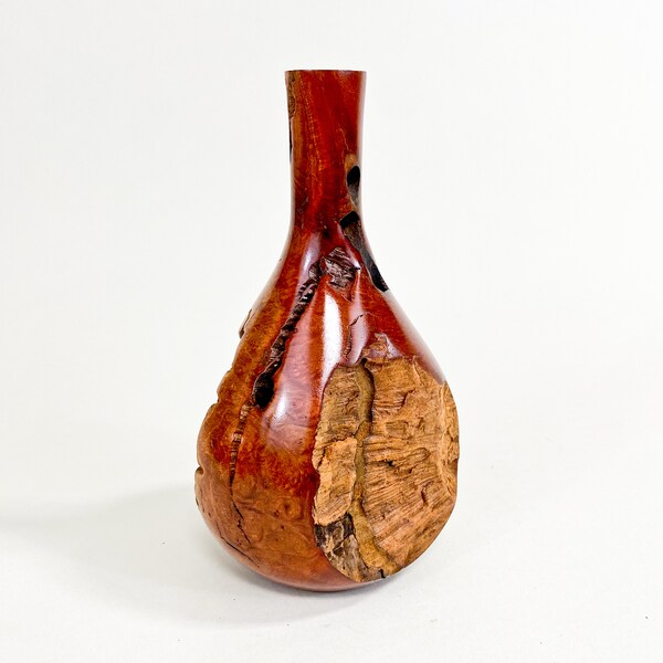 Manzanita Burl Dry Vase - Barely There (de-Anza-Series) - 7" x 3"