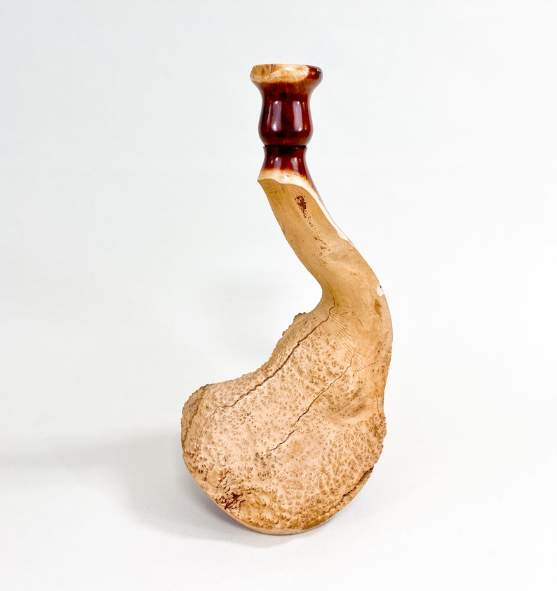 Manzanita Burl Wabi-sabi Style Dry Vase Barely There Swan-Series 16.5h x 6.5d arctostaphylos image 6