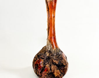 Long Necked Lilac Burl Wabi-sabi Style Dry Vase - Barely There (de-Anza-Series) - 17"h x 8"d