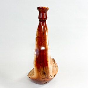 Manzanita Burl Wabi-sabi Style Dry Vase Barely There Swan-Series 16.5h x 6.5d arctostaphylos image 5