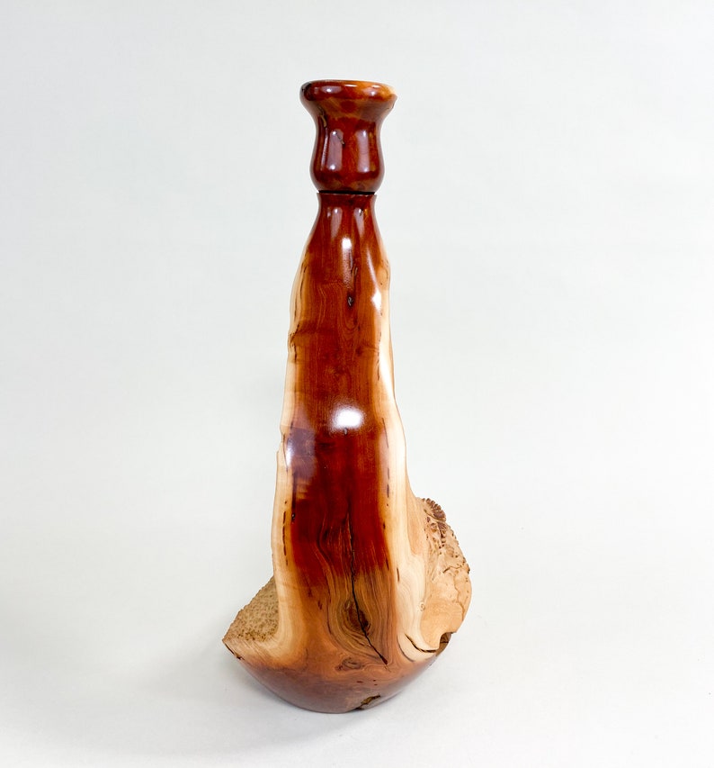 Manzanita Burl Wabi-sabi Style Dry Vase Barely There Swan-Series 16.5h x 6.5d arctostaphylos image 5