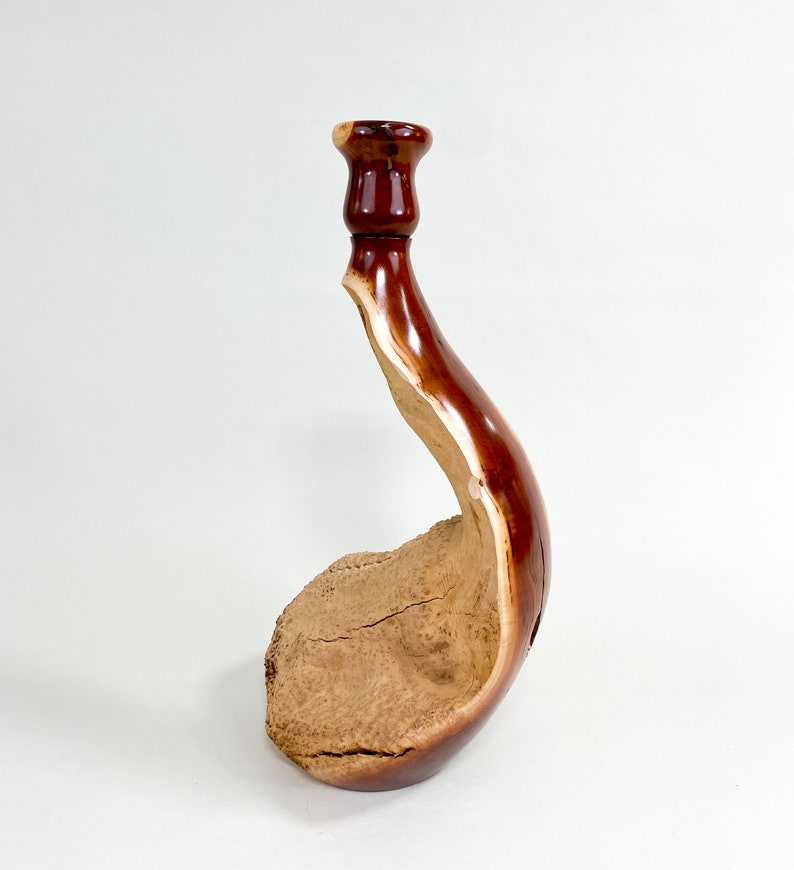 Manzanita Burl Wabi-sabi Style Dry Vase Barely There Swan-Series 16.5h x 6.5d arctostaphylos image 1