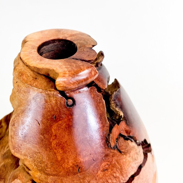 The Doodle: Manzanita Burl Dry Vase 8.5"h x 5.5"d