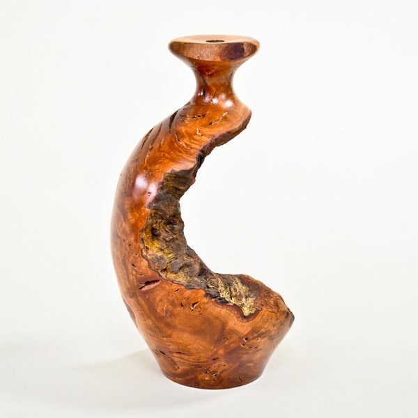 Choke Cherry Dry Vase - Barely There (C-Series) - 6"h x 3.5"d