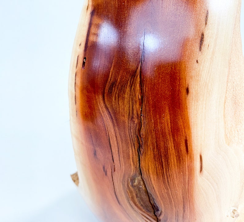 Manzanita Burl Wabi-sabi Style Dry Vase Barely There Swan-Series 16.5h x 6.5d arctostaphylos image 3