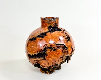 Magnificent Lilac Burl Wabi-Sabi Style Dry Vase - Barely There (de-Anza-Series) - 12"h x 11"d ceanothus
