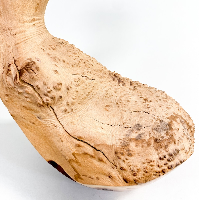 Manzanita Burl Wabi-sabi Style Dry Vase Barely There Swan-Series 16.5h x 6.5d arctostaphylos image 7