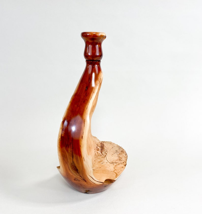 Manzanita Burl Wabi-sabi Style Dry Vase Barely There Swan-Series 16.5h x 6.5d arctostaphylos image 2