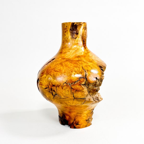 Sumac Burl Dry Vase - Barely There - 8"h x 6"d