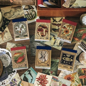 Libro di adesivi estetici vintage da 50 pezzi, materiale per scrapbooking, effimeri, washi, multiuso, con animali, oceano, fiori, foresta.