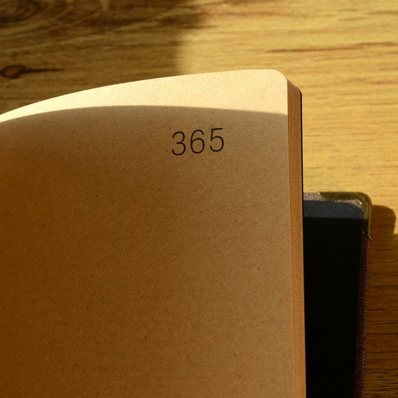 May include: A brown notebook with the number 365 printed on the front cover.