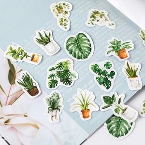 Adesivi per piante d'appartamento 45 pezzi, adesivi per piante in vaso accoglienti, adesivi per diario pianificatore adesivi per diario d'arte adesivi decorativi foglie di monstera