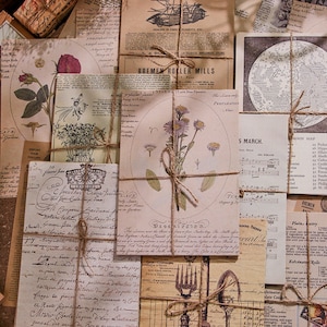 May include: A collection of vintage paper ephemera with a rustic aesthetic. The papers feature botanical illustrations, musical notes, and text in various languages. The papers are tied together with twine, creating a charming and nostalgic feel.