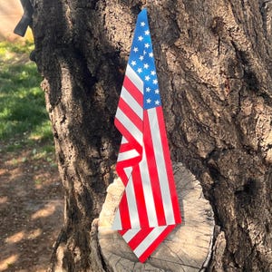 May include: A decorative American flag made of wood, featuring red and white stripes and a blue field with white stars. The flag is displayed outdoors, attached to a tree trunk.