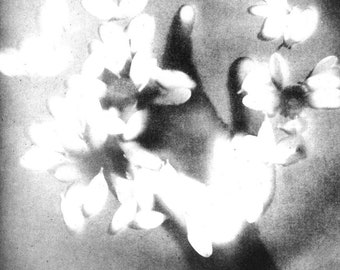 Aftermath no.3 - Original Print - Photopolymer Etching - Rhianna Catt
