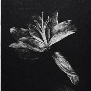 May include: A black and white print of a lily flower. The print is signed "Rhiannon Butt" and numbered "3/12" in the bottom left corner. The print is titled "Anoctiving" in the bottom right corner.