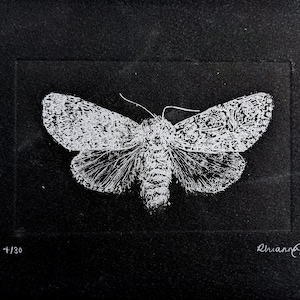 Illumination - Original Print - Etching - Rhianna Catt