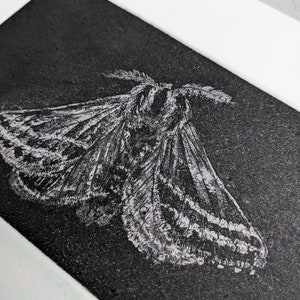 Shadow - Original Print - Etching - Rhianna Catt