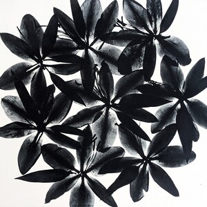 May include: Black and white abstract art print featuring a cluster of stylized flower shapes.