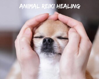 Animal Pet Reiki Healing with Crystal Therapy