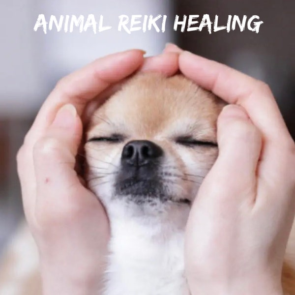 Animal Pet Reiki Healing with Crystal Therapy