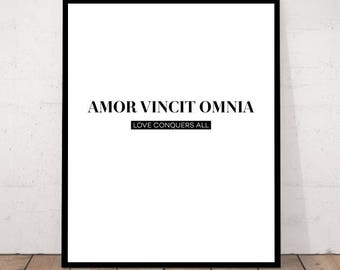Citation Damour Latine Best Citations D Amour