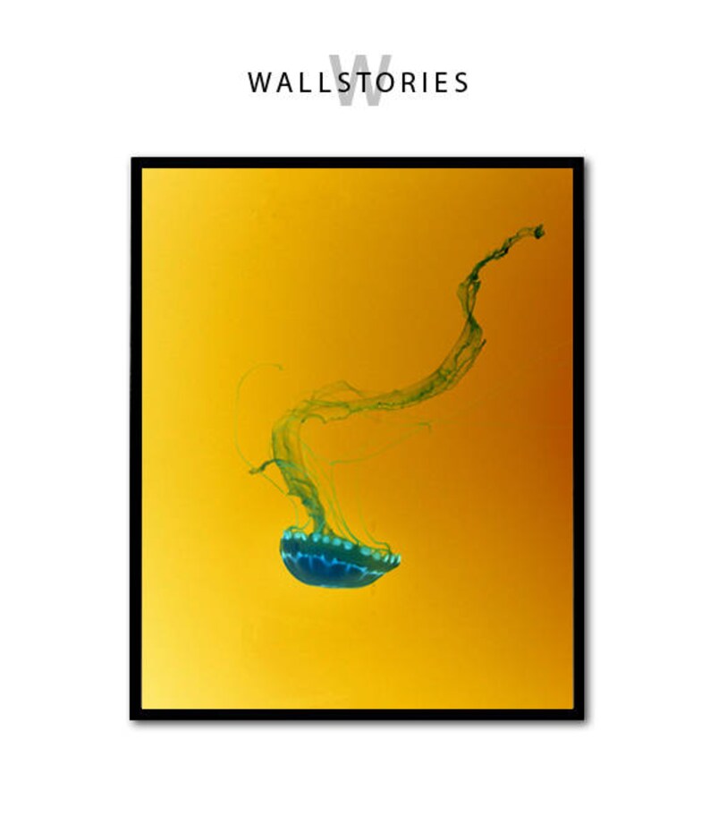 Jellyfish Art Jellyfish Print Underwater Photography Jelly Etsy